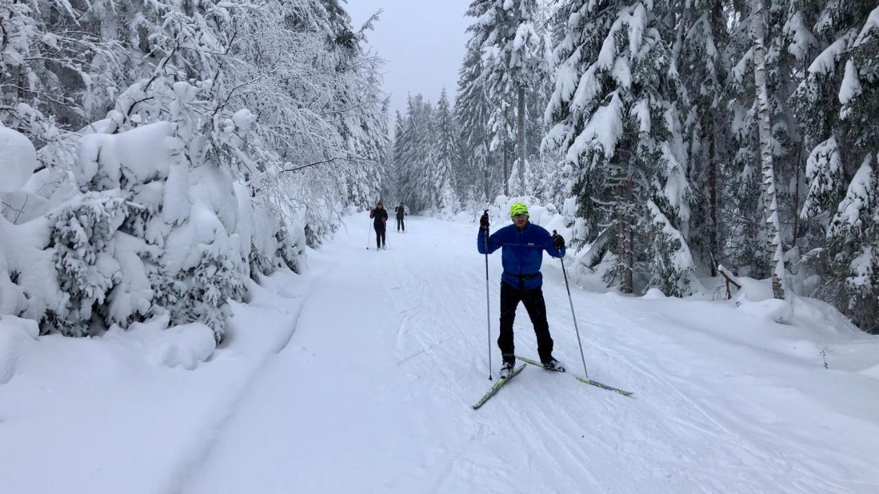 Apartmány Doky - PLA Lipno nad Vltavou Kültér fotó